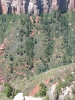 PICTURES/Uncle Jim Trail Hike/t_Uncle Jim Trail - view of Kaibab Trail.JPG